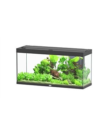 Aquatlantis Aquarium Splendid 120 Biobox