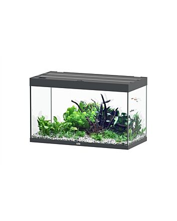 Aquatlantis Aquarium Sublime 100x50 Cm Biobox