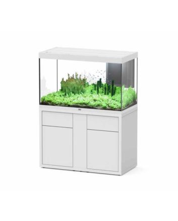 Aquatlantis Aquarium Sublime 120x60 Cm Biobox Wit Hg 064