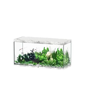 Aquatlantis Aquarium Sublime 150x60 Cm Biobox