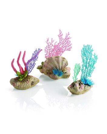 biOrb koraalventilatoren & schelpen set