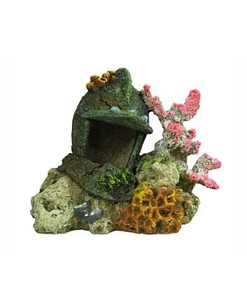 Blue Belle Pacific Coral With Helmet 14 Cm