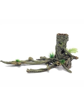 Blue Belle Pacific Root With Plants No 2 53x28x23 Cm