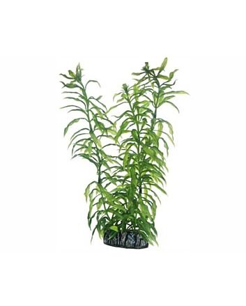 Hobby Plant Heteranthera 25 Cm