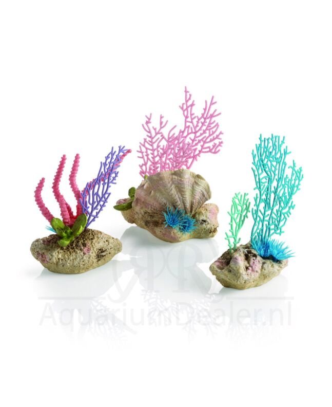 biOrb koraalventilatoren & schelpen set